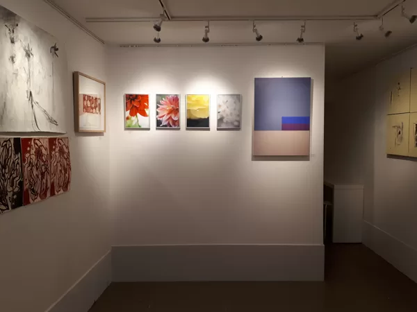 Collettiva Il Fiore - Kokonton Gallery Venezia 2018