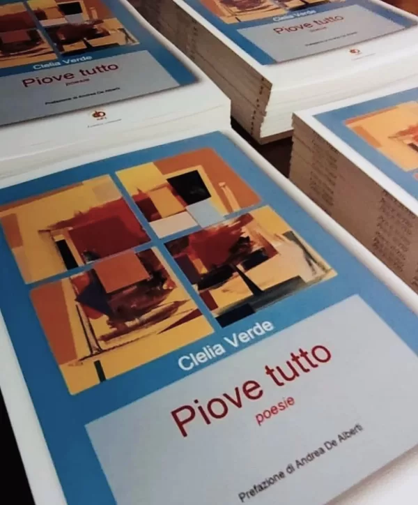 PIOVE TUTTO di Clelia Verde, Edda Edizioni- Opera "Oltre la finestra" in copertina